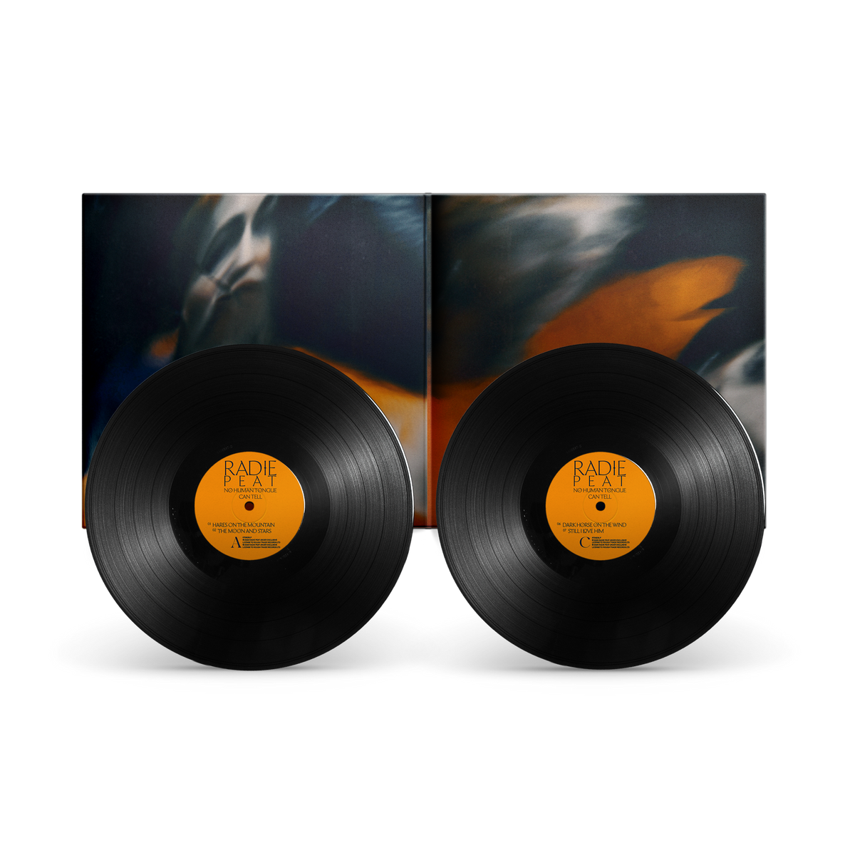No Human Tongue Can Tell - Double LP (Black Vinyl)